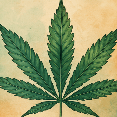 Cannabidiol-bij-fibromyalgie-806x393-2