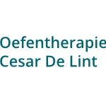 Profielfoto van PRAKTIJK OEFENTHERAPIE CESAR DE LINT NIJMEGEN NOORD